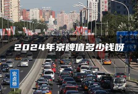 2024年京牌值多少钱呀