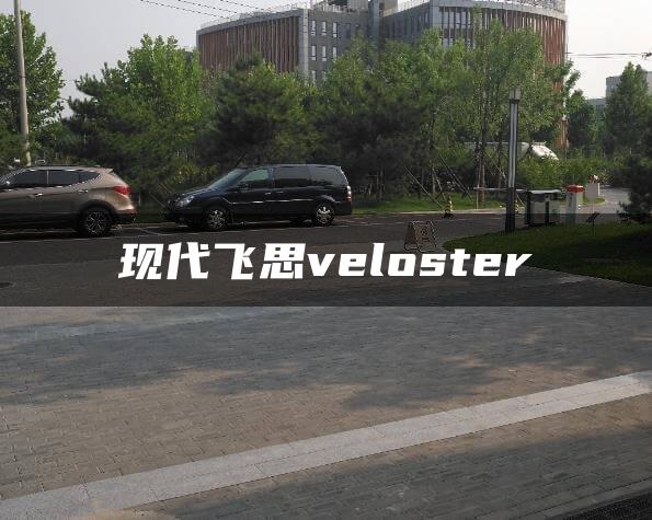 现代飞思veloster
