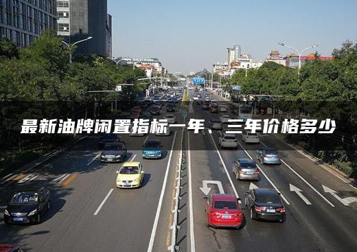 最新油牌闲置指标一年、三年价格多少