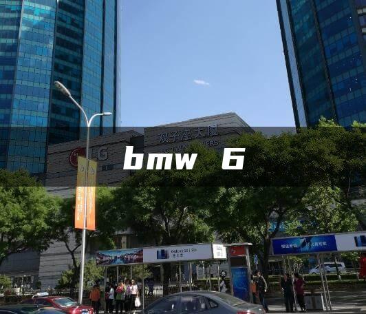 bmw 6