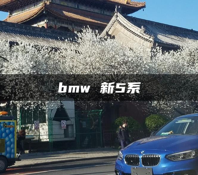 bmw 新5系