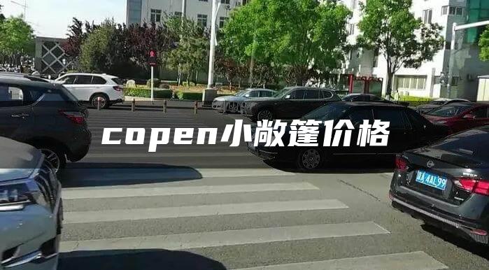 copen小敞篷价格