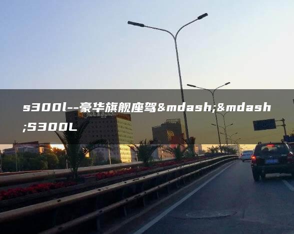 s300l–豪华旗舰座驾——S300L