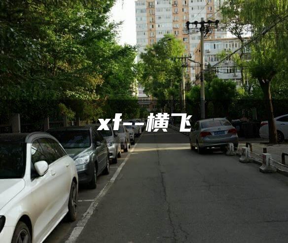 xf–横飞