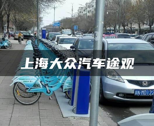 上海大众汽车途观