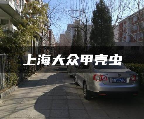 上海大众甲壳虫