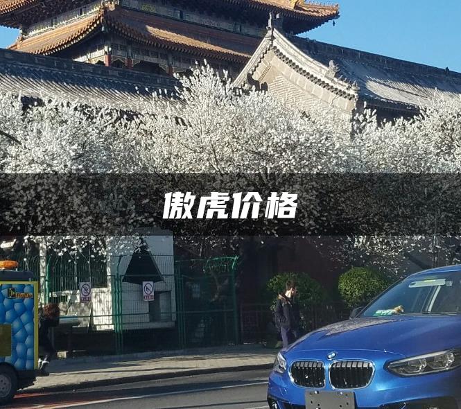 傲虎价格