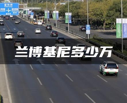 兰博基尼多少万