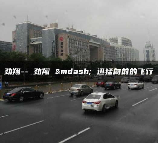 劲翔– 劲翔 — 迅猛向前的飞行