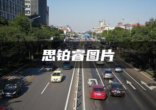 思铂睿图片
