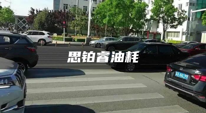 思铂睿油耗