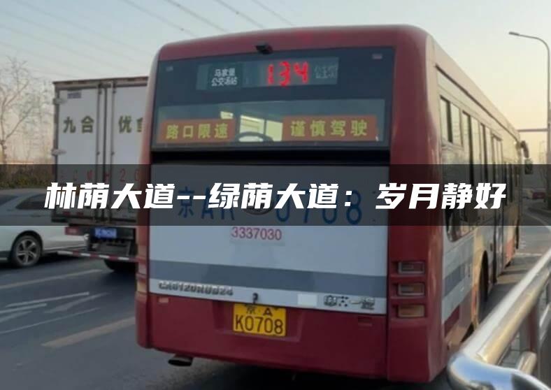 林荫大道–绿荫大道：岁月静好