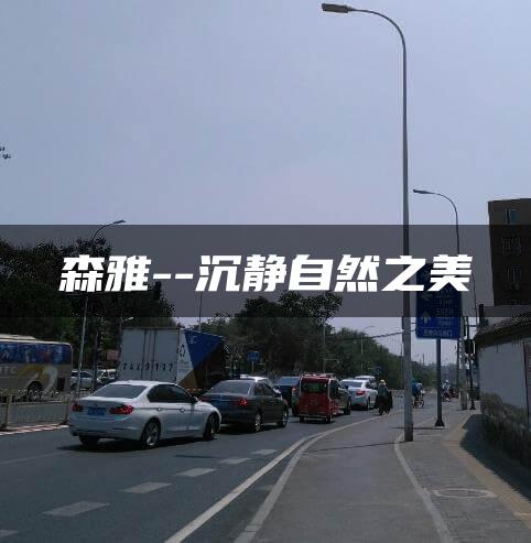 森雅–沉静自然之美