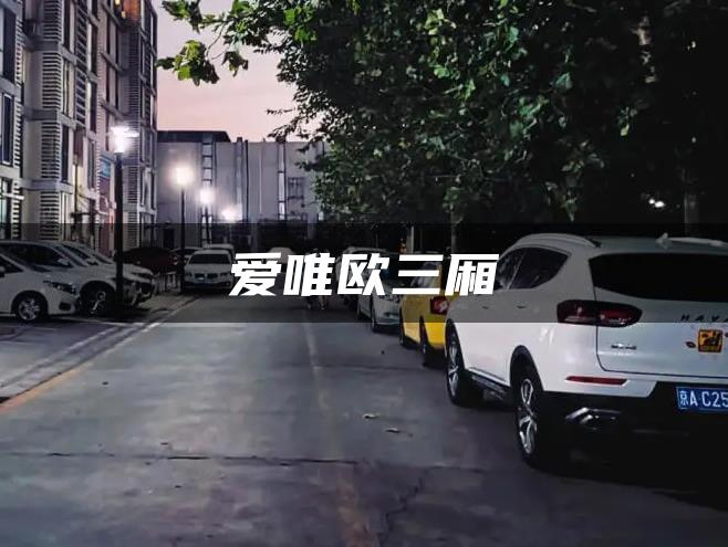 爱唯欧三厢