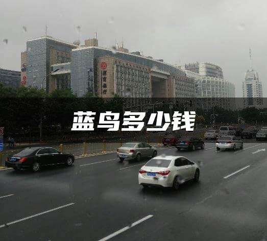 蓝鸟多少钱