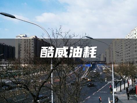 酷威油耗
