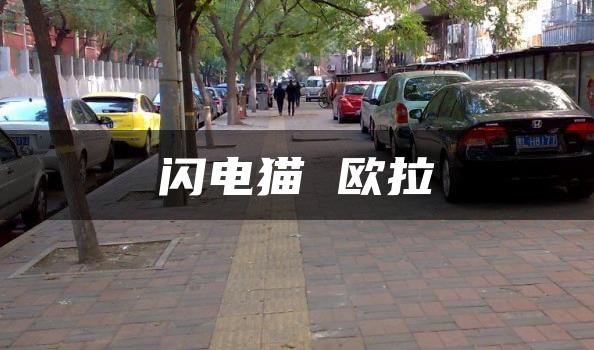 闪电猫 欧拉