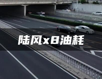 陆风x8油耗