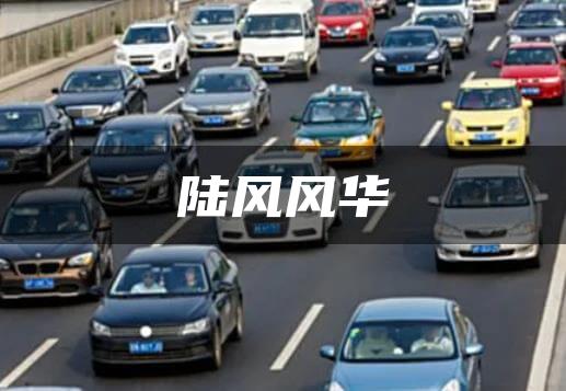 陆风风华