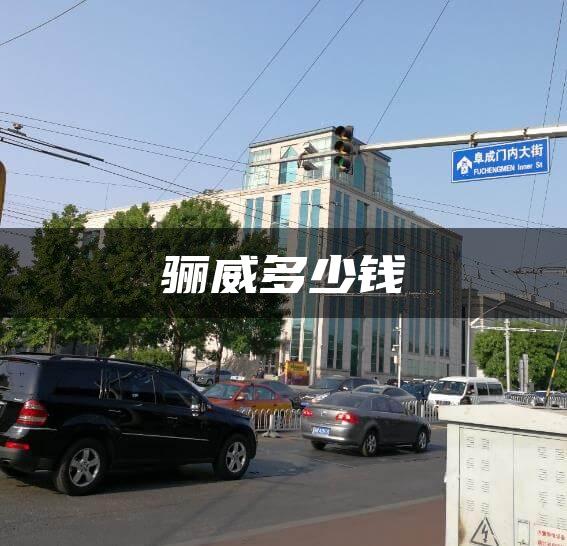 骊威多少钱