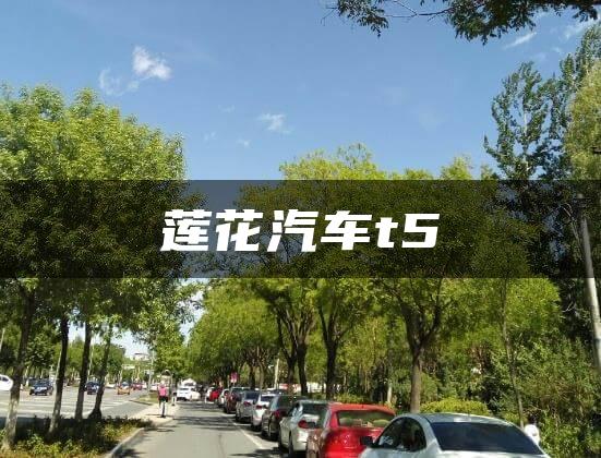 莲花汽车t5