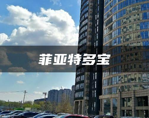 菲亚特多宝