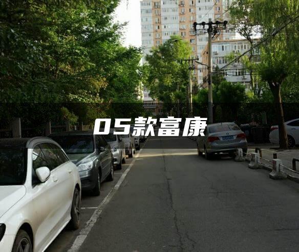 05款富康