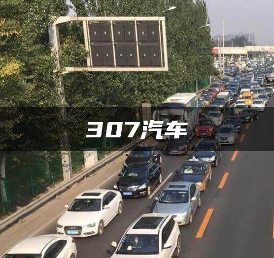 307汽车
