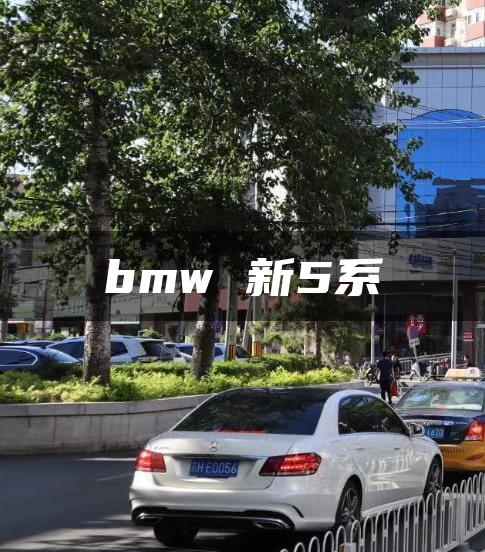 bmw 新5系