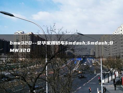 bmw320–豪华家用轿车——BMW320