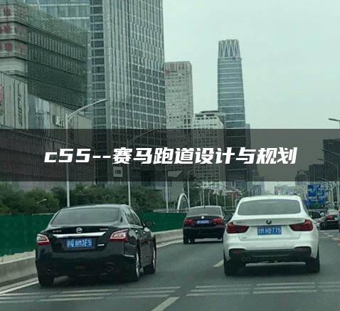 c55–赛马跑道设计与规划