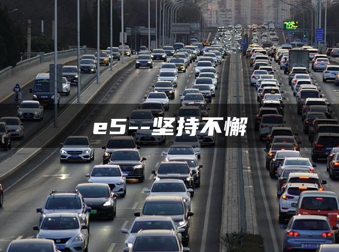 e5–坚持不懈