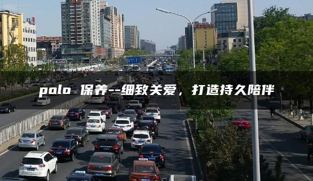 polo 保养–细致关爱，打造持久陪伴