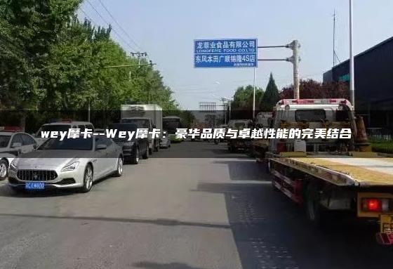 wey摩卡–Wey摩卡：豪华品质与卓越性能的完美结合