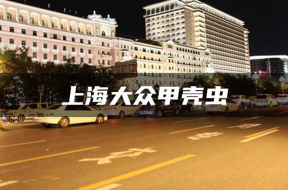 上海大众甲壳虫