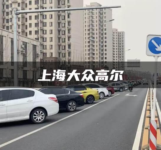 上海大众高尔