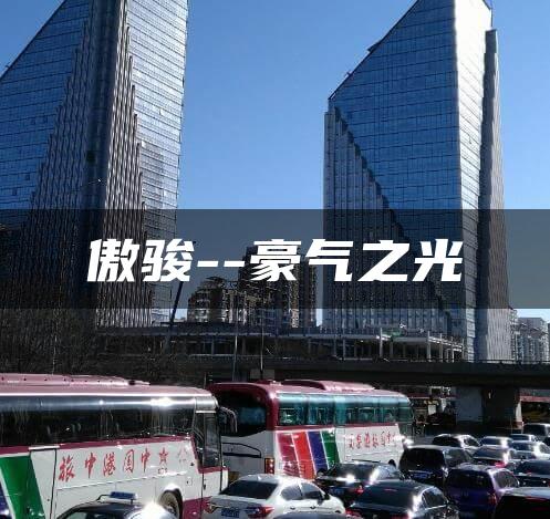 傲骏–豪气之光