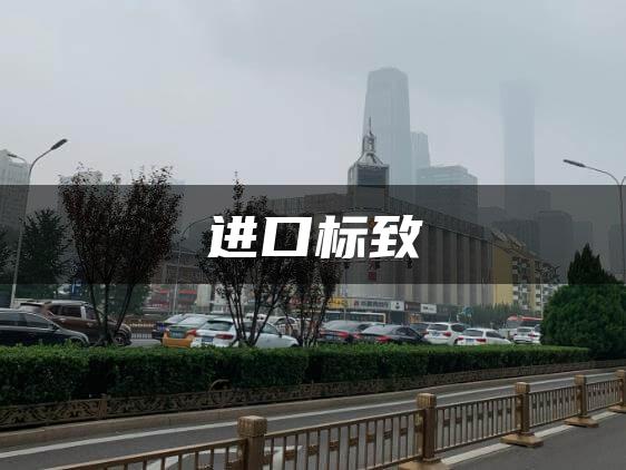 进口标致