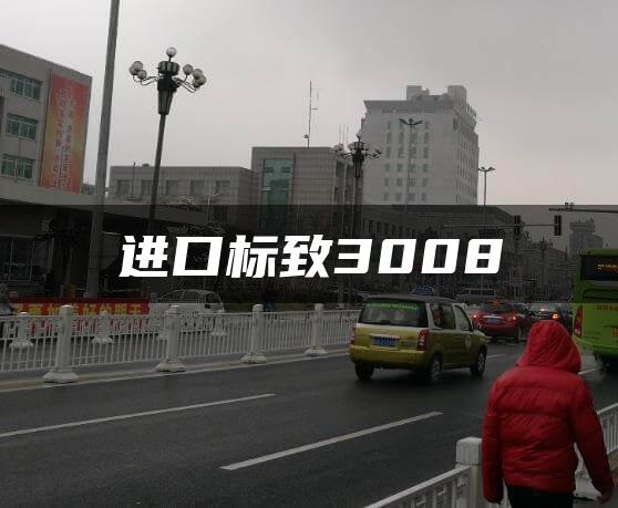 进口标致3008