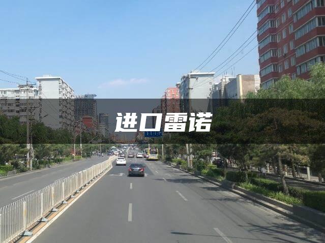 进口雷诺
