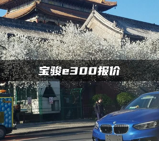 宝骏e300报价