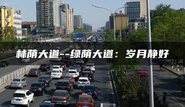 林荫大道–绿荫大道：岁月静好