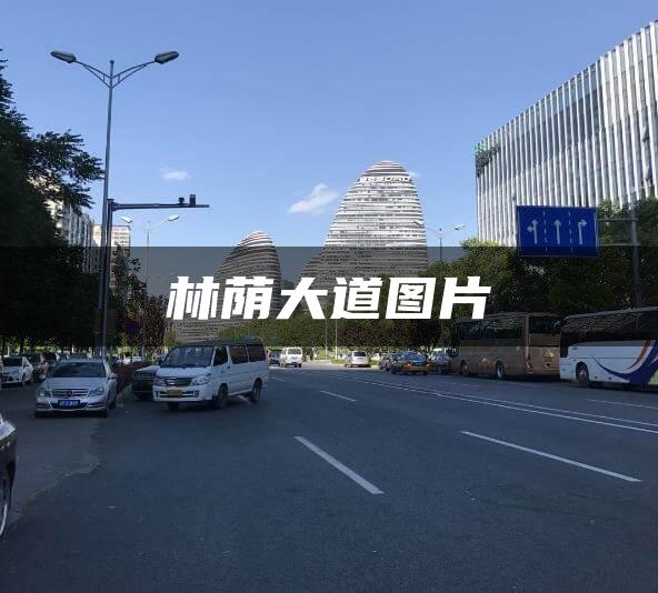 林荫大道图片