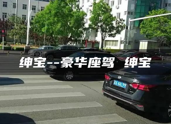 绅宝–豪华座驾 绅宝
