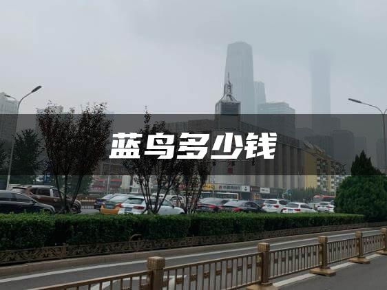蓝鸟多少钱