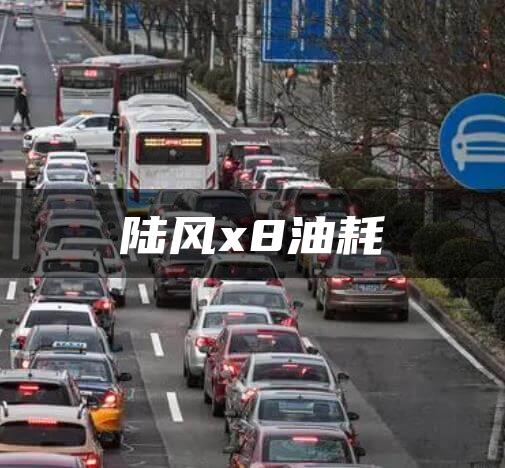 陆风x8油耗