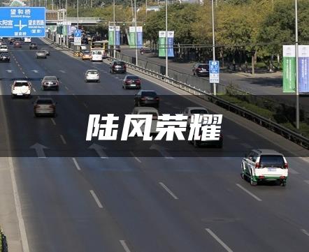 陆风荣耀