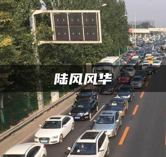 陆风风华