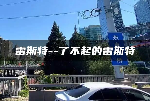雷斯特–了不起的雷斯特