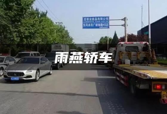 雨燕轿车